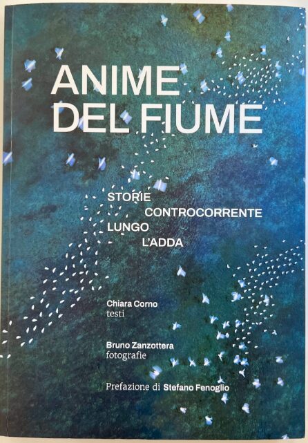 anime del fiume