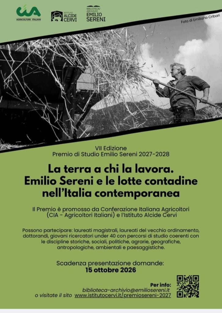 vii premio di studio
